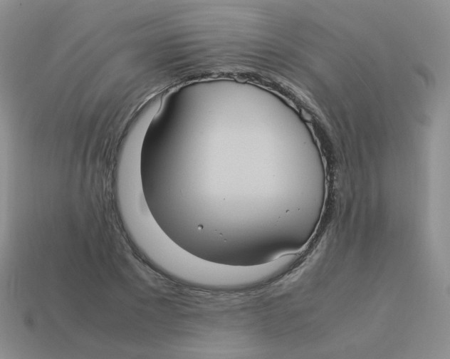 X0000113290881200910131024