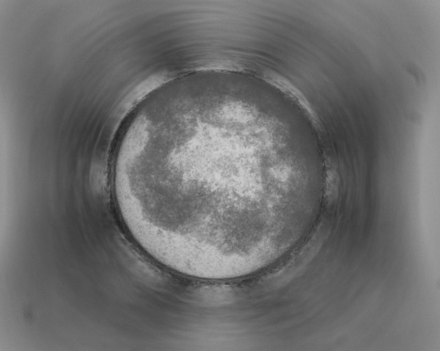 X0000113290882200910131024