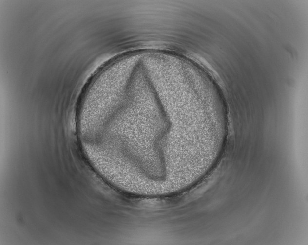 X0000113290883200910131024