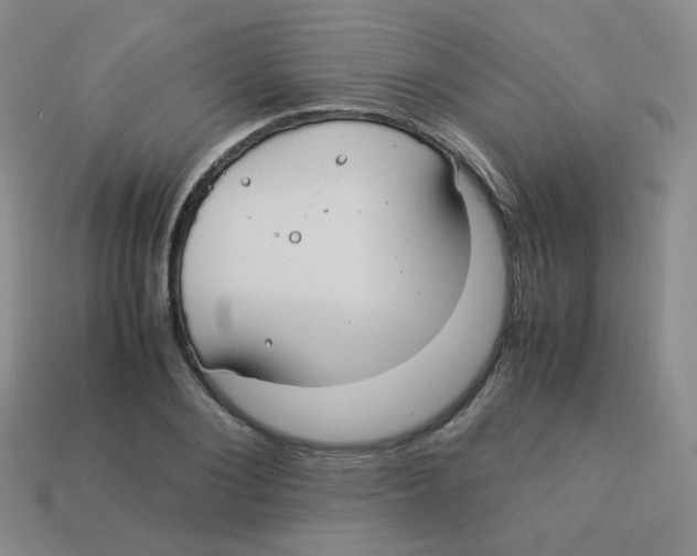 X0000113290884200910131024