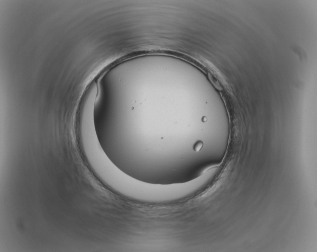 X0000113290885200910131024