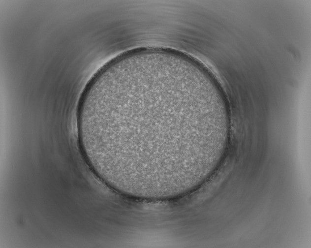 X0000113290887200910131024