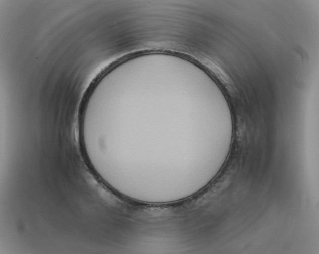 X0000113290888200910131024
