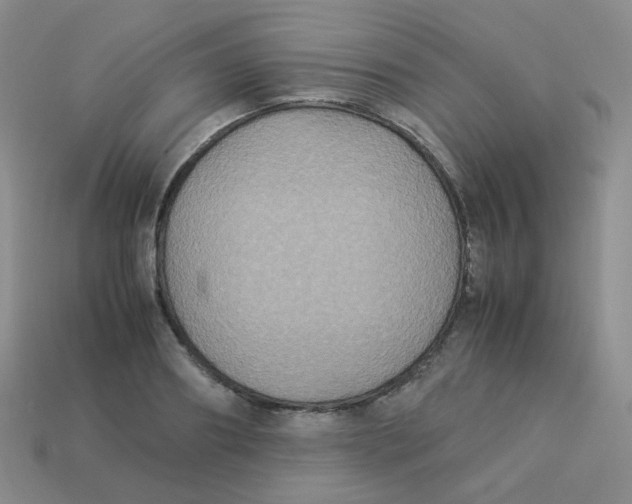 X0000113290890200910131024