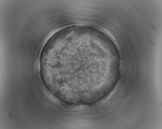X0000113290891200910131024