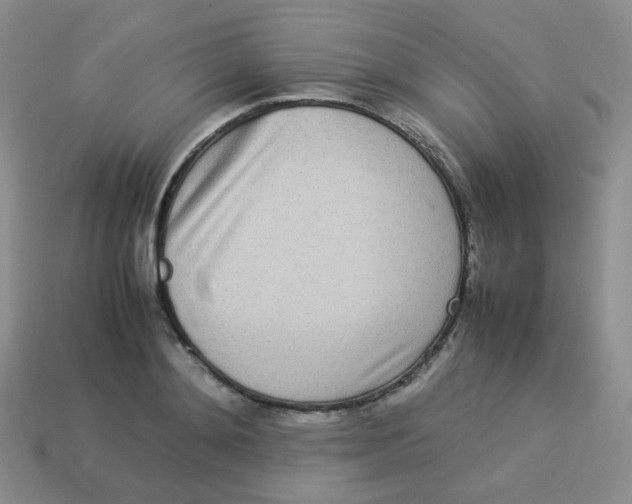 X0000113290892200910131024