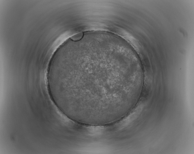 X0000113290893200910131024
