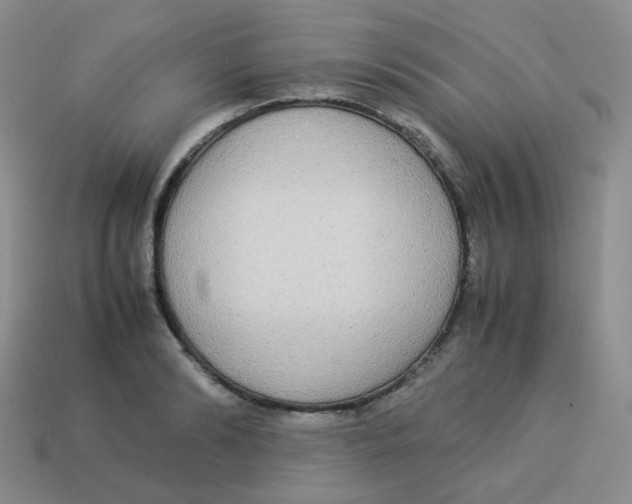 X0000113290894200910131024