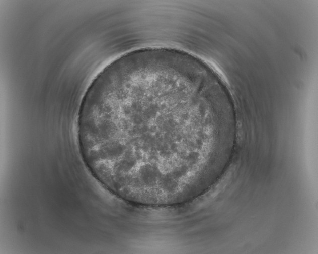 X0000113290895200910131024