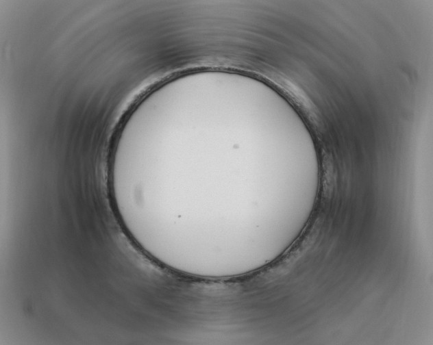 X0000113290896200910131024