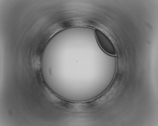 X0000113290897200910131024