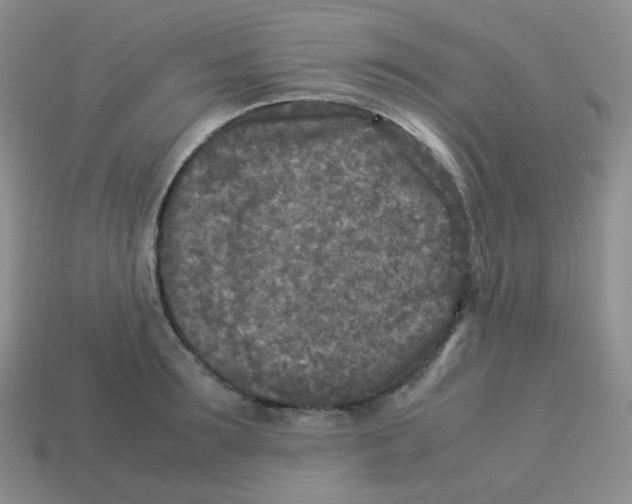 X0000113290899200910131024