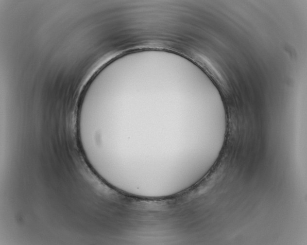 X0000113290900200910131024