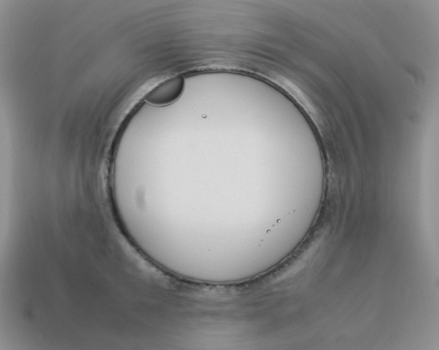 X0000113290901200910131024
