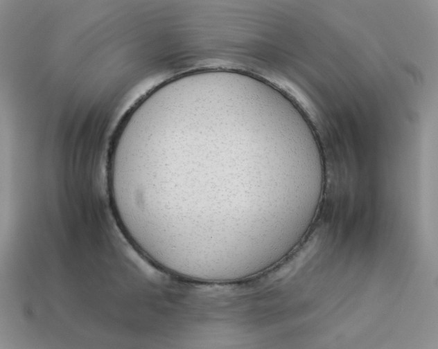 X0000113290902200910131024