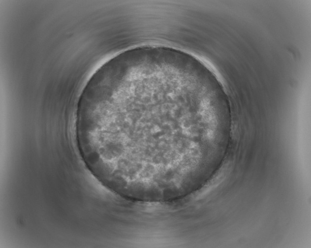 X0000113290903200910131024