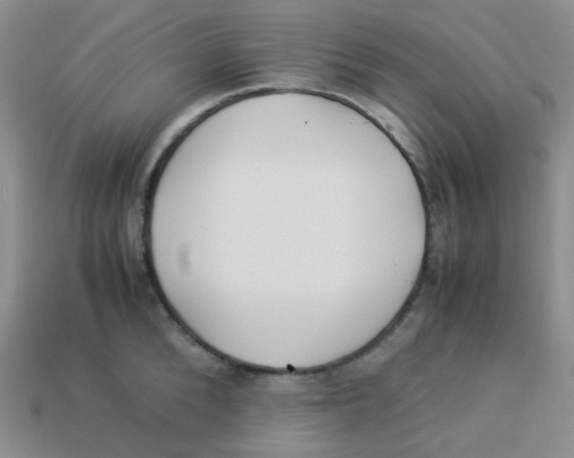 X0000113290904200910131024