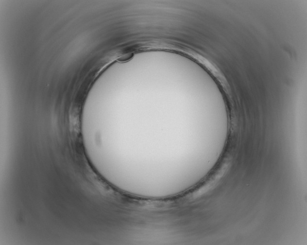 X0000113290905200910131024