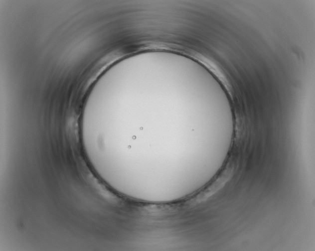 X0000113290906200910131024
