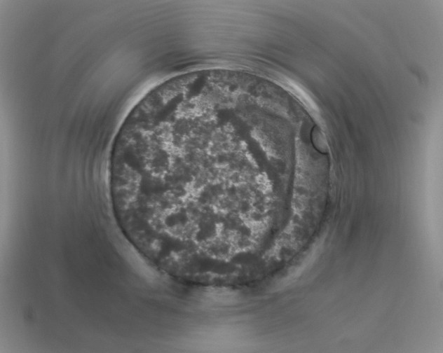 X0000113290907200910131024