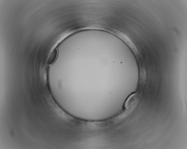 X0000113290908200910131024