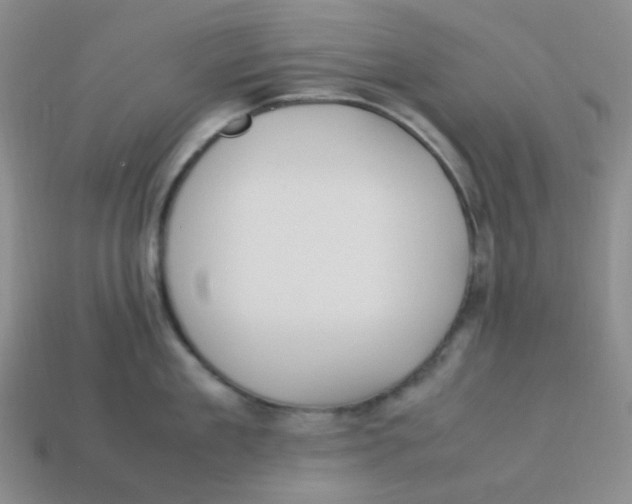 X0000113290909200910131023