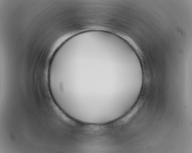 X0000113290910200910131023