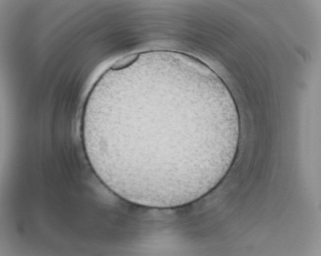 X0000113290912200910131023