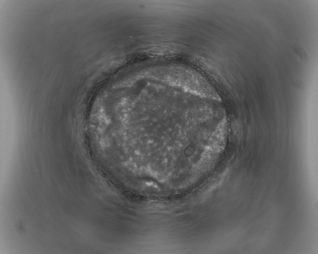 X0000113290913200910131023
