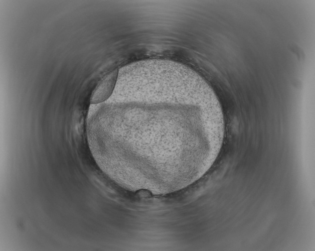 X0000113290914200910131023