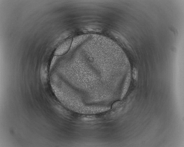X0000113290915200910131023