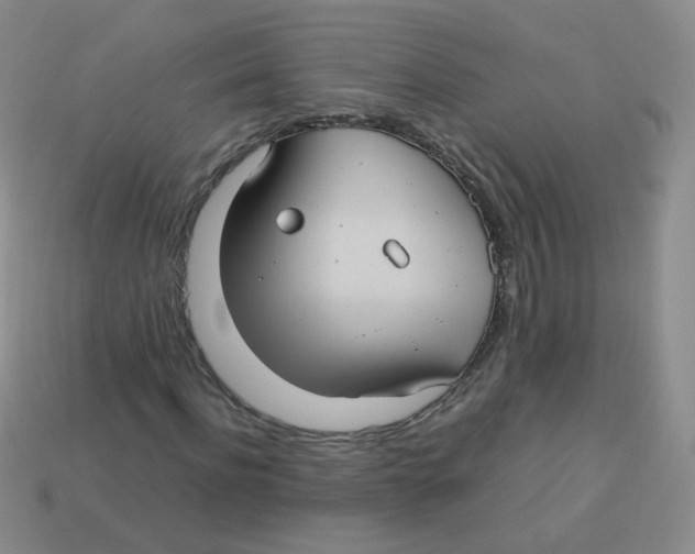 X0000113290916200910131023
