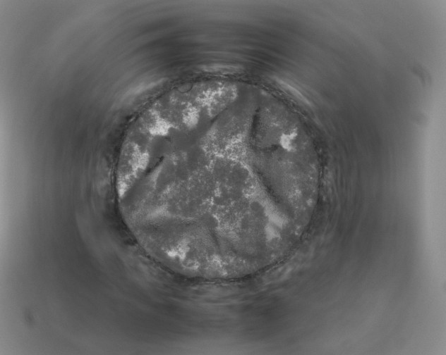 X0000113290917200910131023