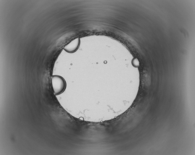 X0000113290918200910131023