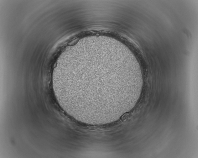 X0000113290920200910131023