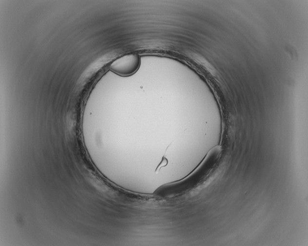 X0000113290922200910131023