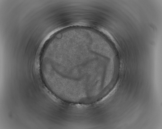 X0000113290923200910131023