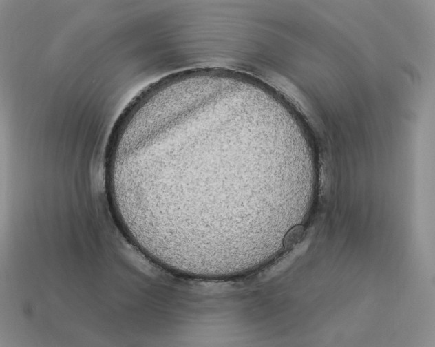 X0000113290924200910131023