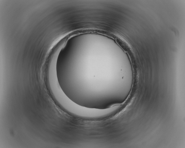 X0000113290925200910131023