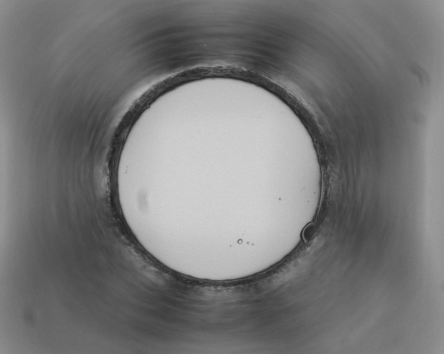 X0000113290927200910131023