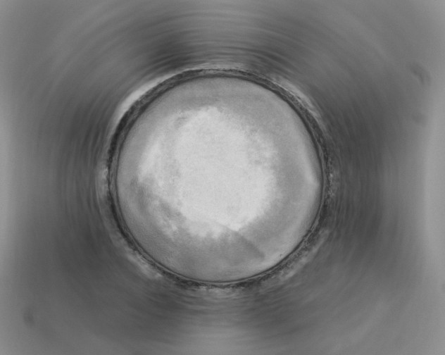 X0000113290928200910131023