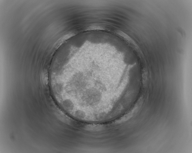 X0000113290929200910131023