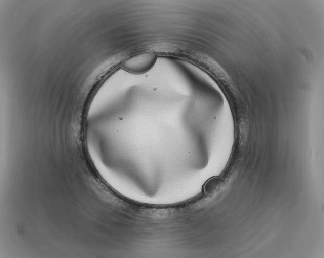 X0000113290930200910131023
