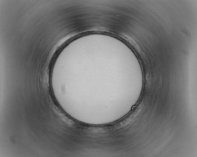 X0000113290931200910131023