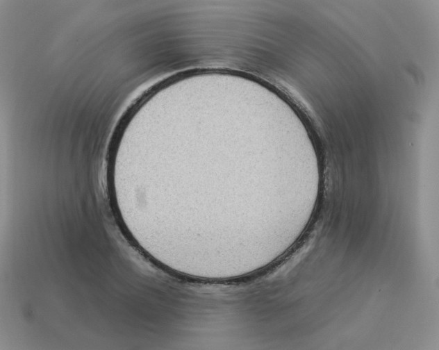 X0000113290932200910131023