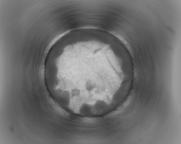 X0000113290933200910131023