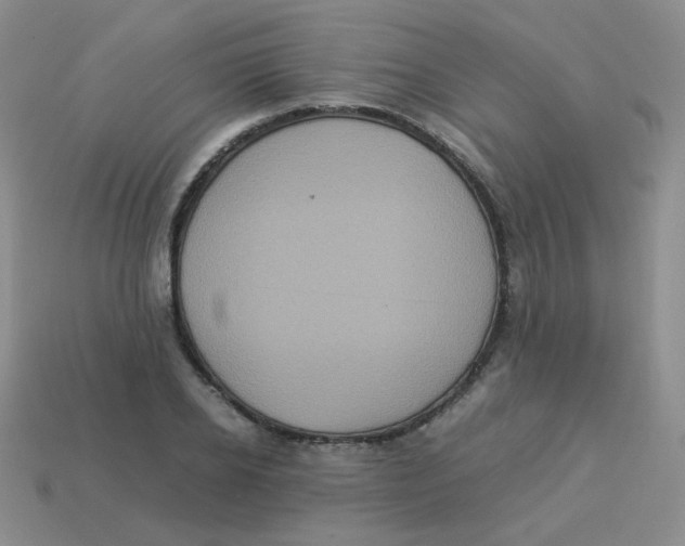 X0000113290934200910131023