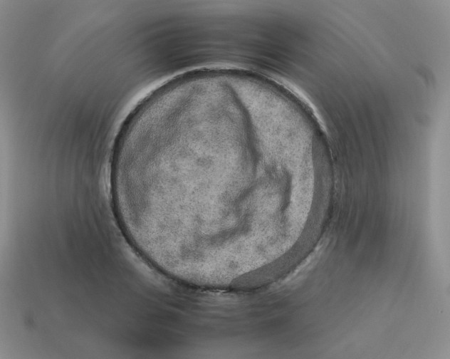 X0000113290935200910131023