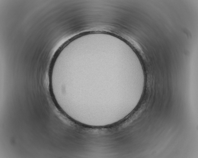 X0000113290936200910131023