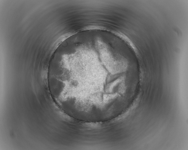 X0000113290937200910131023